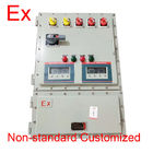Dispositivo d'avviamento di motore di IEC/contenitore commutatore protetti contro le esplosioni standard di arresto per i siti pericolosi